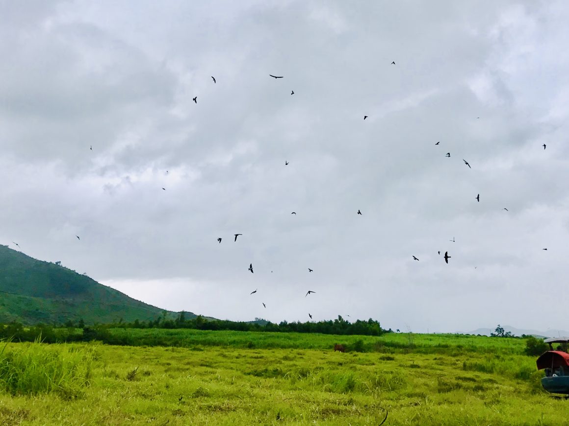 Chuyện về The Moshav Farm – Kỳ 1 - NGHÈO