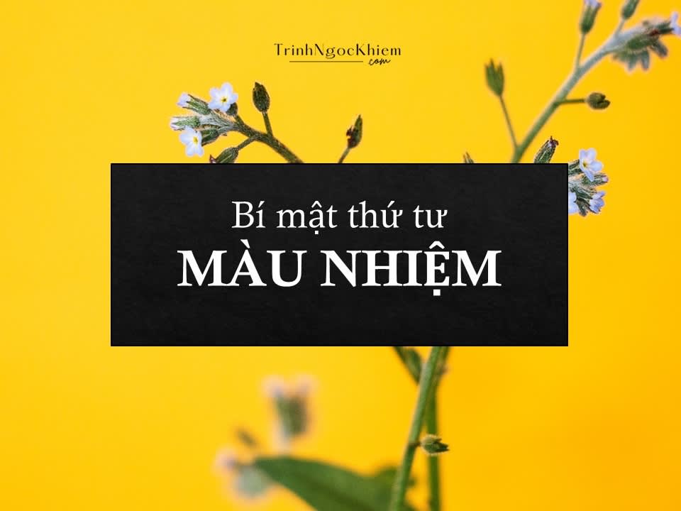 Bí mật thứ tư – Màu nhiệm